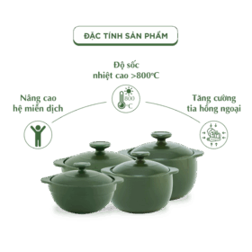  Bộ 4 Nồi Dưỡng Sinh (Bếp gas, hồng ngoại) - HealthyCook (0.35L/0.55L - 0.4L/0.85L) A001_BONOIM5gomminhlong.com