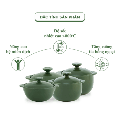 Bộ 4 Nồi Dưỡng Sinh (Bếp gas, hồng ngoại) - HealthyCook (0.35L/0.55L - 0.4L/0.85L) A001_BONOIM5gomminhlong.com