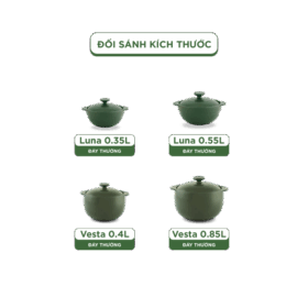  Bộ 4 Nồi Dưỡng Sinh (Bếp gas, hồng ngoại) - HealthyCook (0.35L/0.55L - 0.4L/0.85L) A001_BONOIM5gomminhlong.com