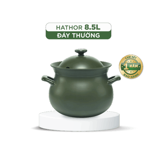 Nồi dưỡng sinh Hathor (Nồi thân bầu) 8.5 L + nắp có lỗ A001_668531464Lgomminhlong.com