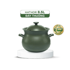 Nồi dưỡng sinh Hathor (Nồi thân bầu) 8.5 L + nắp có lỗ A001_668531464Lgomminhlong.com