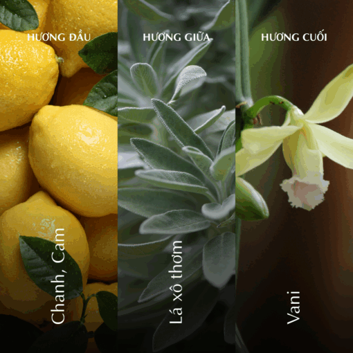 Nến thơm (K1) - Hương Hạ - Màu Xanh Dương A001_446824514Bgomminhlong.com