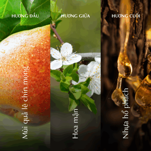 Nến thơm (K1) - Hương Thu - Màu Nâu A001_446824516Bgomminhlong.com