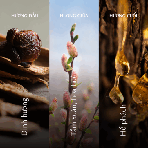 Nến thơm (K1) - Hương Xuân - Màu Hồng 2 A001_446824517Bgomminhlong.com